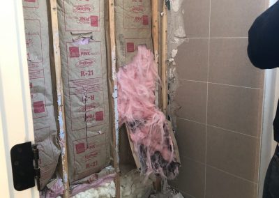 Bathroom Demolition Hinsdale