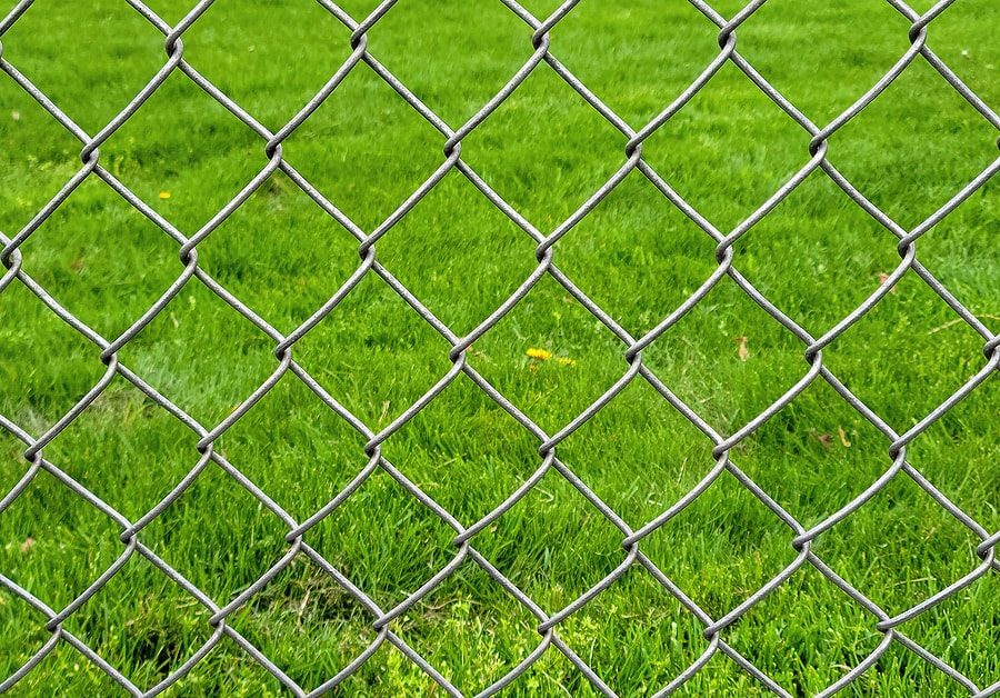 Chain link fence with green grass in background